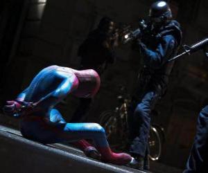 Puzzle Spider-Man, συνελήφθη από την αστυνομία